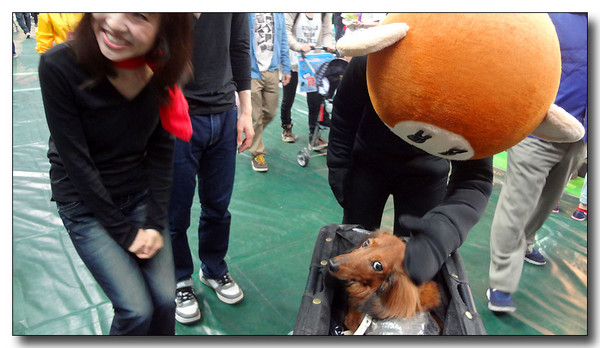 20130521212950.JPG 20130521212950.JPG