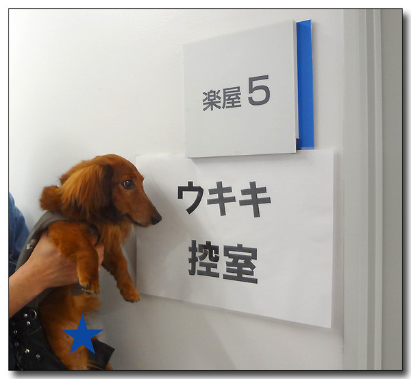 20130521213112.JPG 20130521213112.JPG