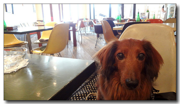 20130522073351.JPG