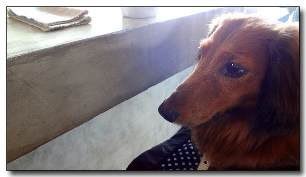 20130522085343.JPG