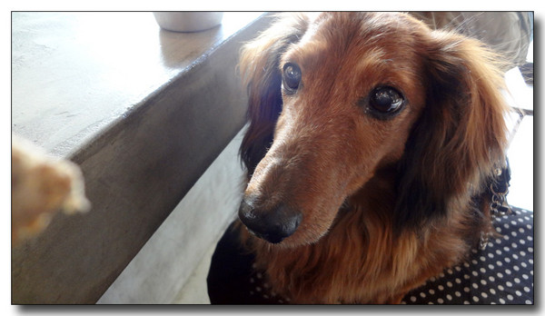 20130522085347.JPG