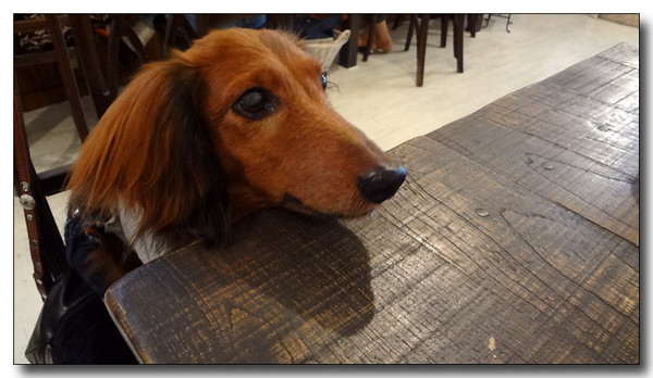 20130523083703.JPG