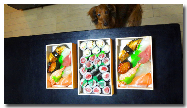 20130523120451.JPG