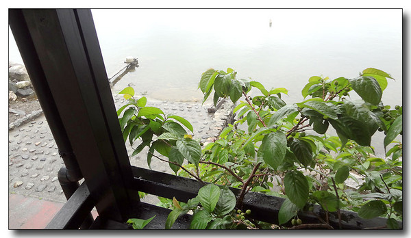 20130527094759.JPG