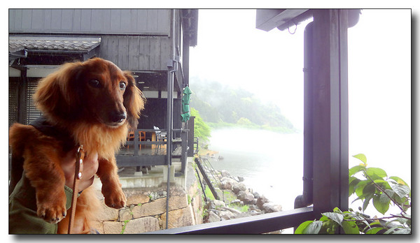 20130527095539.JPG