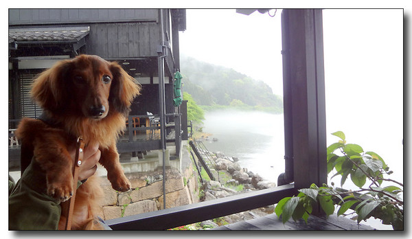 20130527095610.JPG
