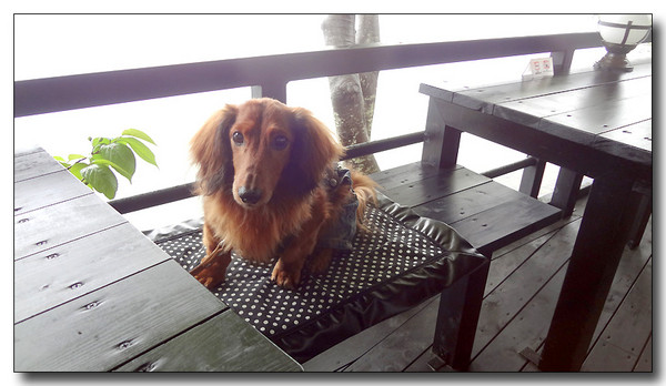 20130527095611.JPG