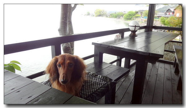 20130527095612.JPG