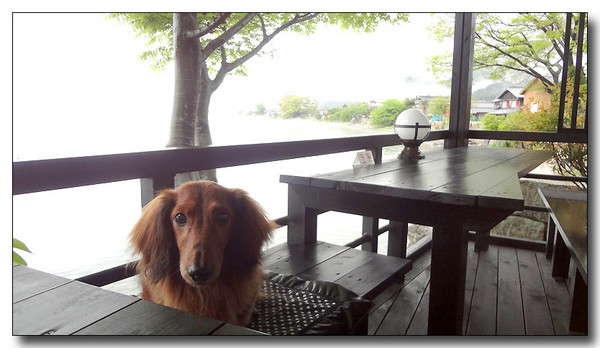 20130527095613.JPG
