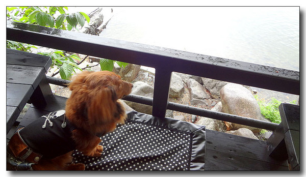 20130527095614.JPG