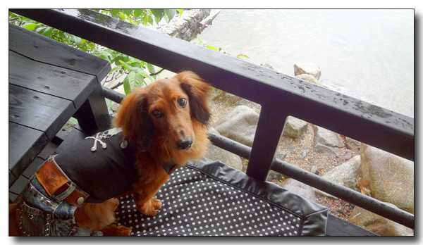 20130527095639.JPG