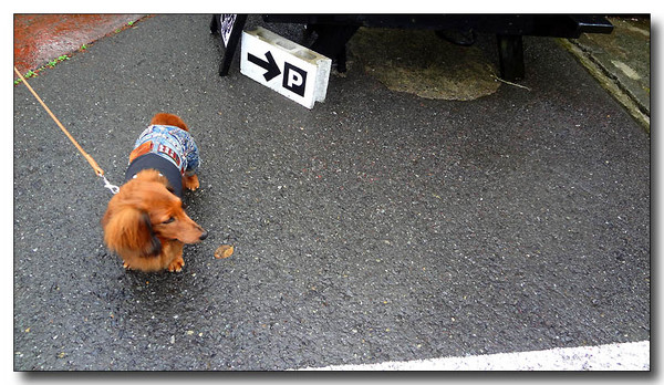 20130527095642.JPG