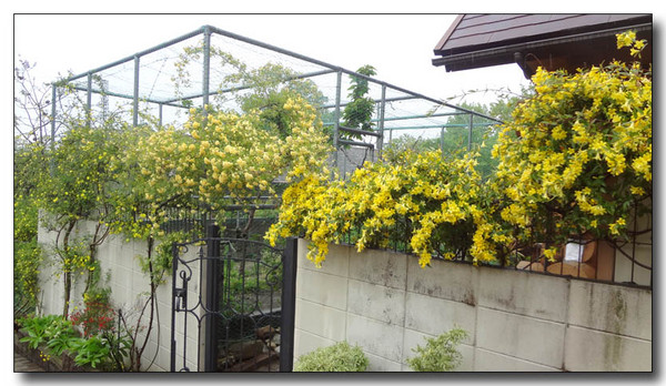 20130528084848.JPG