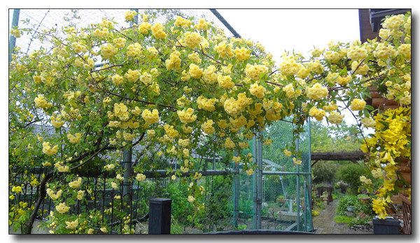 20130528084849.JPG