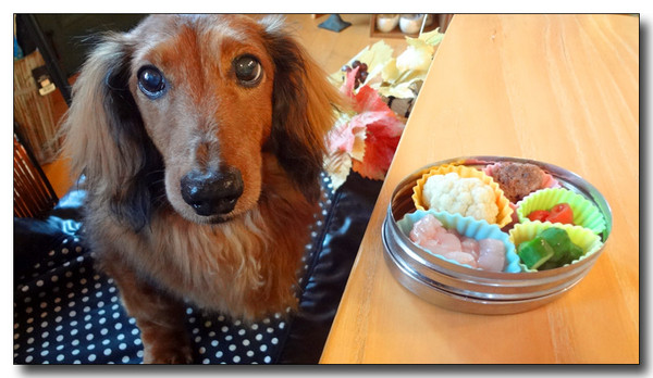 20130528084941.JPG