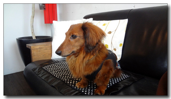 20130528144222.JPG