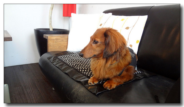 20130528144247.JPG