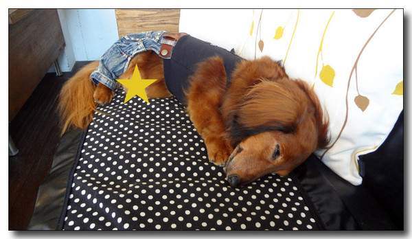 20130528144250.JPG