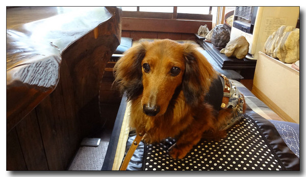 20130528144721.JPG