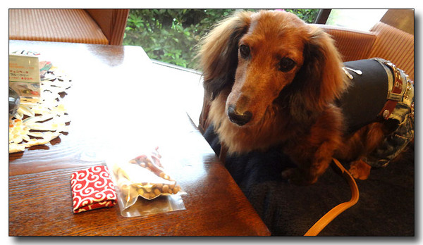20130529172655.JPG