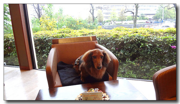 20130529172722.JPG
