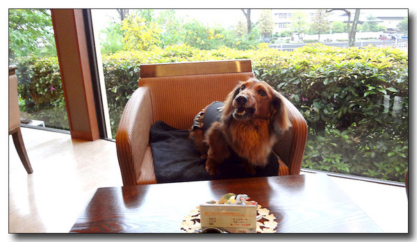 20130529172723.JPG