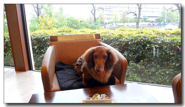 20130529172724.JPG