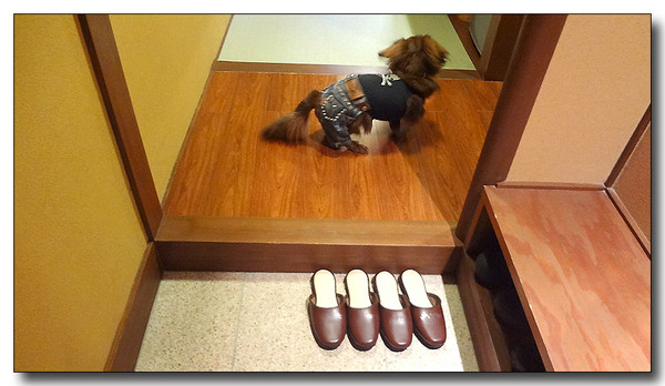 20130529173158.JPG