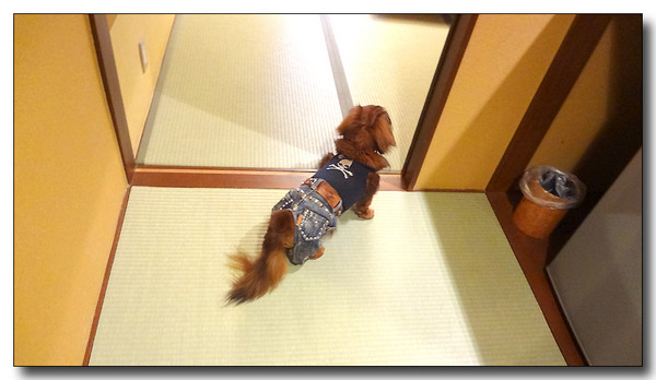 20130529173159.JPG