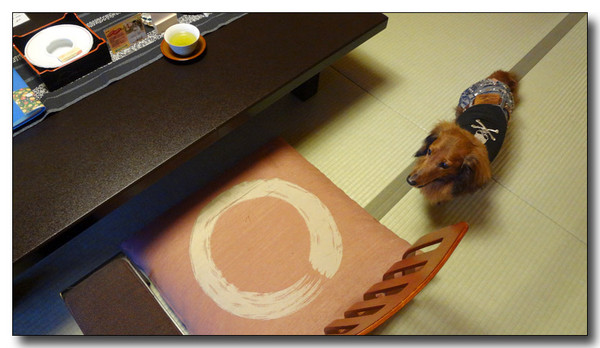 20130529173202.JPG