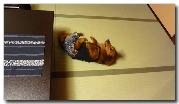 20130529173240.JPG