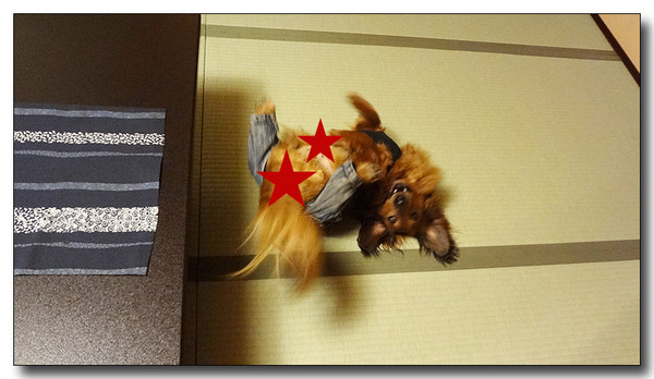 20130529173241.JPG