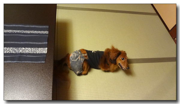 20130529173242.JPG