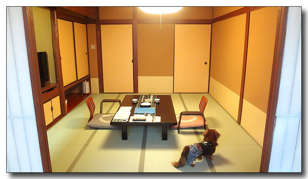 20130529173243.JPG