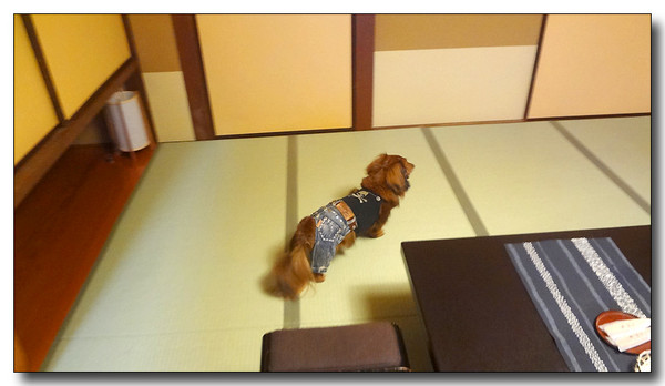20130529173330.JPG