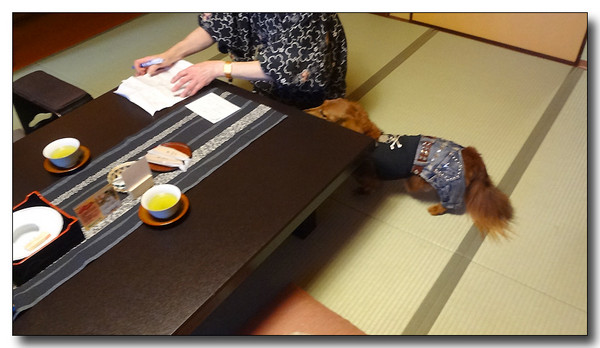 20130529173331.JPG