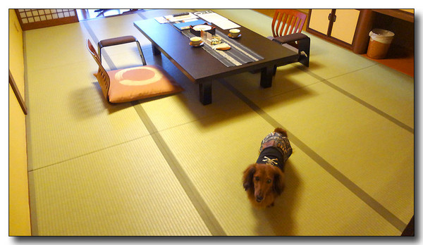 20130529173332.JPG