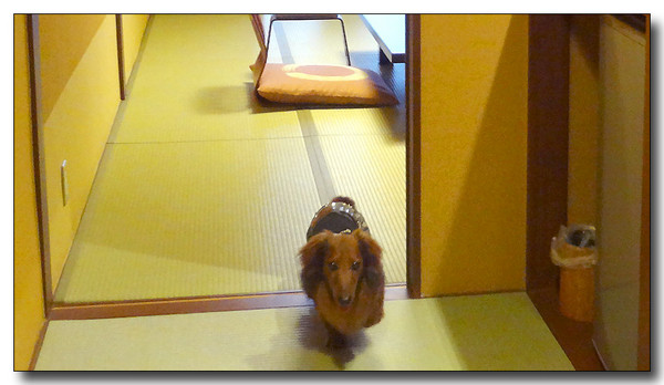 20130529173333.JPG