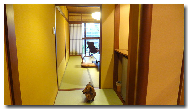 20130529173334.JPG