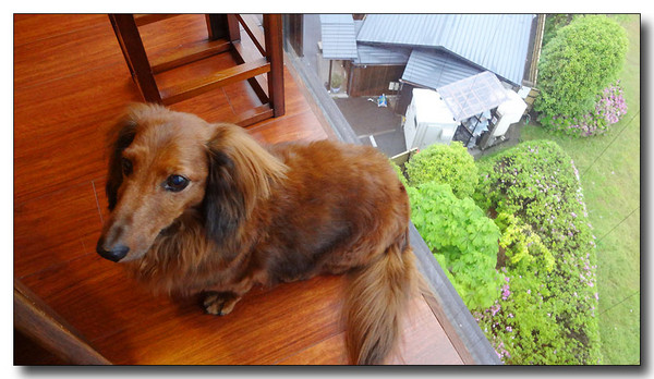 20130529173356.JPG