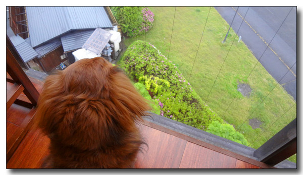 20130529173357.JPG