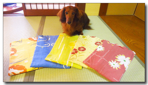 20130529173359.JPG