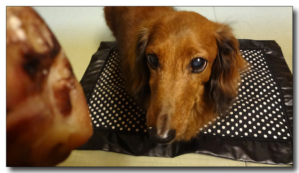 20130529193314.JPG