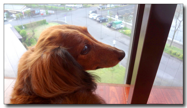 20130530103344.JPG