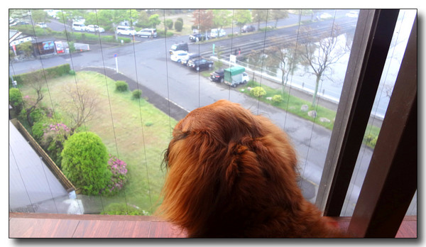 20130530103345.JPG