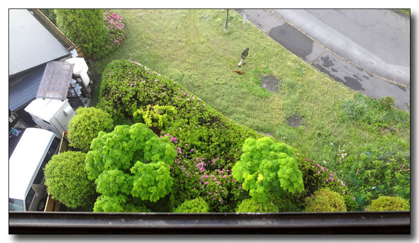 20130530103346.JPG