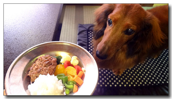 20130530103450.JPG