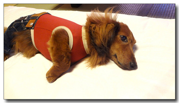 20130530103849.JPG