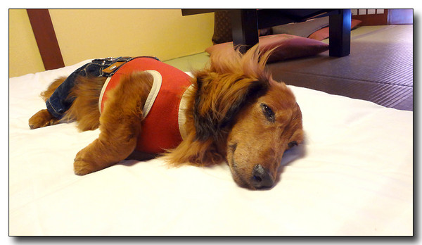 20130530103851.JPG