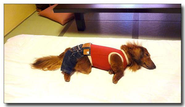 20130530103852.JPG